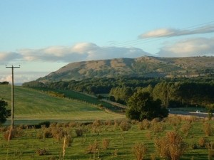 farleton knott