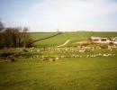 dalton stone circle