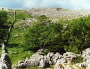 farleton fell
