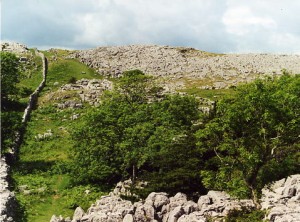 farleton fell37