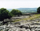 limestone pavement