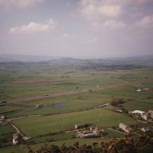 lower land pasture