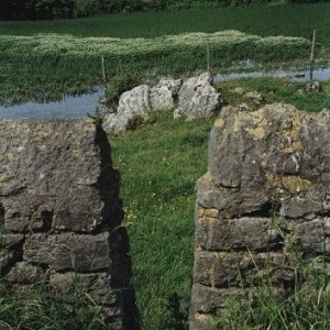 holme