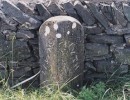 levens