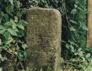 levens