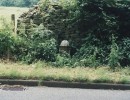 levens