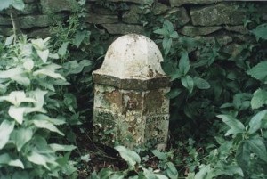 levens