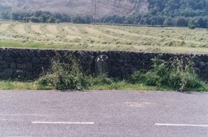 levens