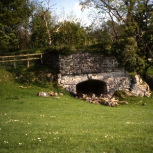 curwen woods