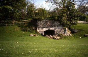 curwen woods
